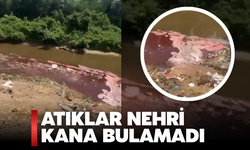 Sakarya Nehri Kana Bulandı!