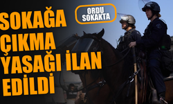 Los Angeles'ta Sokağa Çıkma Yasağı İlan Edildi: Protestolar Tırmanıyor