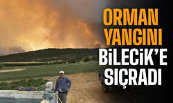 Sakarya’dan Bilecik’e Sıçrayan Orman Yangını Felakete Dönüştü
