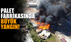 Palet Fabrikasında Büyük Yangın!