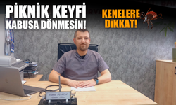 Piknik Keyfi Kâbusa Dönmesin: Kenelere Dikkat!
