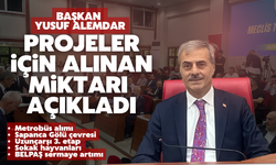 Başkan Alemdar mecliste projeler için yetki aldı