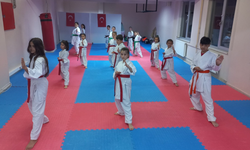 Ferizli’de Spor Dolu Günler
