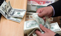 Hollanda'dan Türk Lirası için dolar/TL tahmini