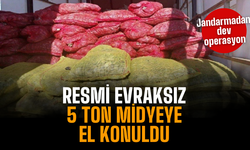 Sakarya’da 5 ton kaçak midye ele geçirildi