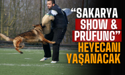 Alman Çoban Köpekleri Sakarya’da Buluşuyor