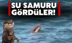 Su samuru ile karşılaştılar