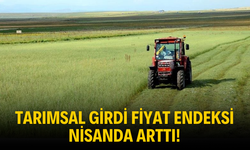 Tarım-GFE Nisan 2025 Verileri Açıklandı: Yıllık Artış Yüzde 30,12'ye Ulaştı