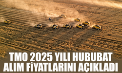 TMO 2025 Yılı Hububat Alım Fiyatlarını Açıkladı: Buğday ve Arpa Fiyatları Netleşti