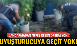 Geyve'de Jandarmadan Nefes Kesen Operasyon