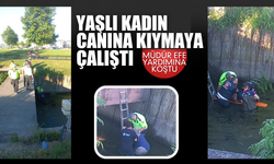 Canına kıymaya çalışan yaşlı kadını Müdür Efe kurtardı