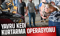 Otomobil Motoruna Sıkışan Yavru Kedi Kurtarıldı