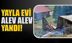 Hendek Çiğdem Yaylası’nda Korkutan Yangın