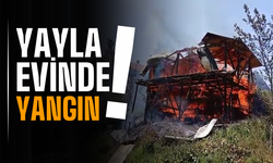 Sakarya'da Yayla Evi Küle Döndü