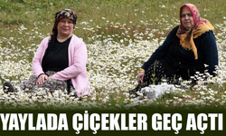 Dikmen Yaylası'nda Bahar Geç Geldi