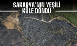 Sakarya'da Havadan Görüntülendi: Yeşil, Küle Döndü!