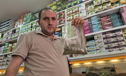 Zayıflama Çaylarına Dikkat: Kontrolsüz Kullanım Hayati Tehlike Yaratıyor