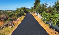 3 Bin Ton Sıcak Asfaltla Yol Ağı Yenilendi