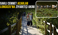 Sakarya'nın Saklı Cenneti Acarlar Longozu’na Ziyaretçi Akını