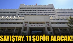 Sayıştay, 11 şoför alacak! Sürekli işçi kadrosu... Sayıştay şoför başvurusu nasıl yapılır?