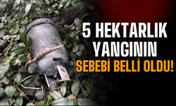 Hendek'te 5 Hektarlık Yangının Sebebi Belli Oldu!