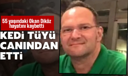 Sapanca’da Akciğerine Kedi Tüyü Kaçan Adam Hayatını Kaybetti