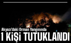 Akyazı’daki Orman Yangınında Kundaklama Şüphesi