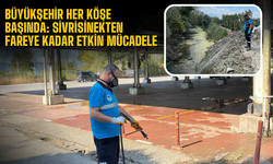 Büyükşehir Her Köşe Başında: Sivrisinekten Fareye Kadar Etkin Mücadele