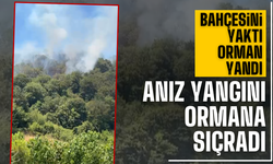 Anız yangını ormana sıçradı!