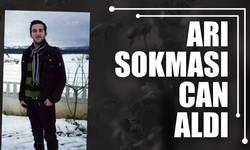 Arı sokan genç canından oldu