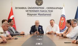 Askerde ölen veterinerin diploması 33 yıl sonra ağabeyine verildi
