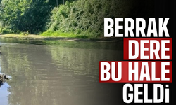 Berrak dere bu hale geldi!