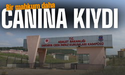 Bir mahkum daha yaşamına son verdi