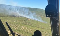 Çanakkale Lapseki’de Orman Yangınına  Havadan ve Karadan Müdahale Sürüyor