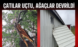 Sakarya'da Şiddetli Rüzgar: Çatılar Uçtu, Ağaçlar Devrildi
