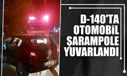 Akyazı'da Otomobil Şarampole Yuvarlandı