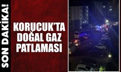 Adapazarı'nda Doğal Gaz patladı: 1 yaralı!