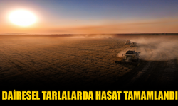 Konya’nın Devasa Dairesel Tarlalarında Hasat Tamamlandı: Rekolte Yüzleri Güldürdü