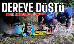 Fındık tarlasında dereye düştü!