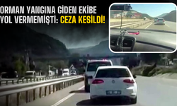 Orman yangınına giden ekibe yol vermemişti: Ceza kesildi