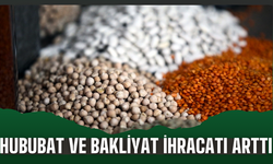 Hububat ve bakliyat ihracatı arttı!