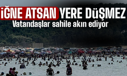 Sahilde iğne atsan yere düşmez!