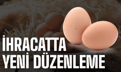 Yumurta İhracatına Yeni Düzenleme: İzin Şartı Getirildi