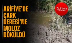 Arifiye’de Çark Deresi’ne Moloz Döküldü: "Bu doğaya ihanettir"