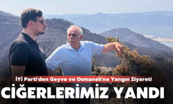 "Ciğerlerimiz Yanmış, Oksijen Depolarımız Azalmış"