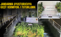 Jandarma Uyu*turucuya Geçit Vermiyor: 1 Haftada 9 Gözaltı, 1 Tutuklama