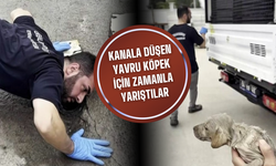 Erenler'de Yürek Isıtan Kurtarma Operasyonu