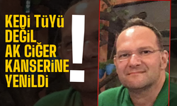 Kedi tüyü dediler aslı ortaya çıktı