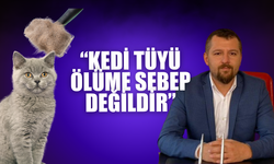 Kedi Tüyü Öldürür mü? Açıklama Geldi!
