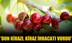 'Don kirazı, kiraz ihracatı vurdu'
